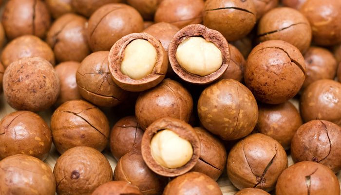 Raw organic chinese Macadamia nuts with shell and Without shell. / Macadamia Kernel