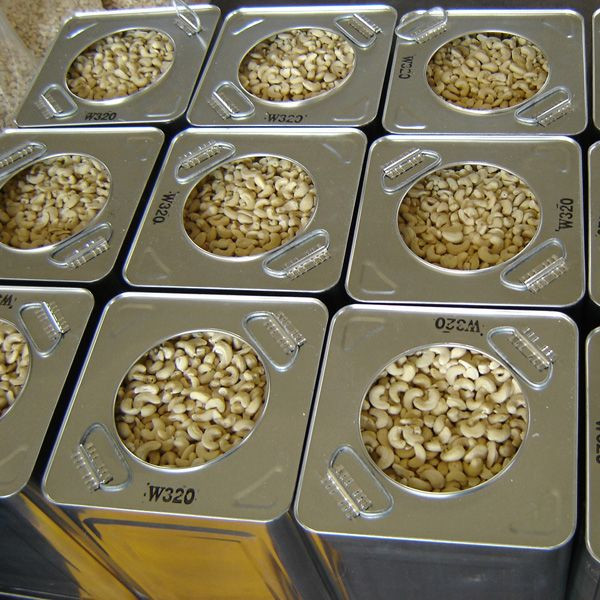 Best Grade Cashew Nuts W180 W240 W320 W450
