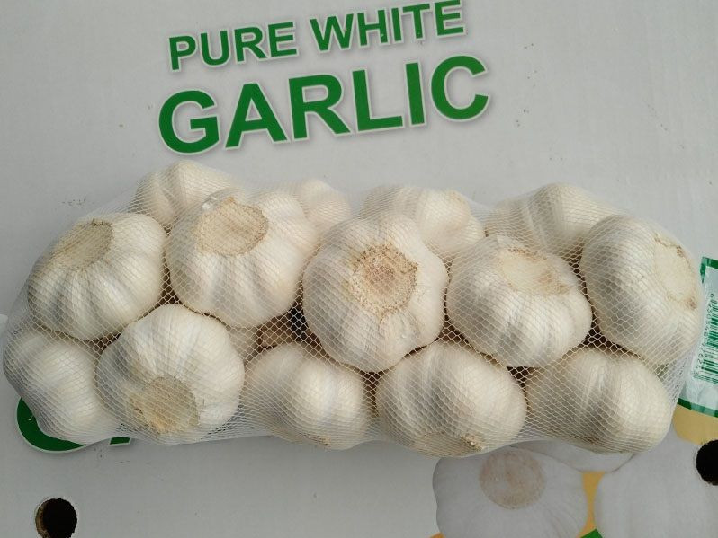 Natural Garlic / WHITE Garlic