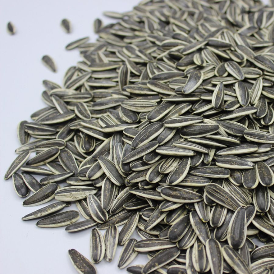 high grade sunflower seeds