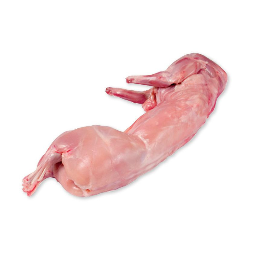 Best Quality Frozen Whole Rabbit Meat