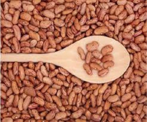 PINTO BEANS