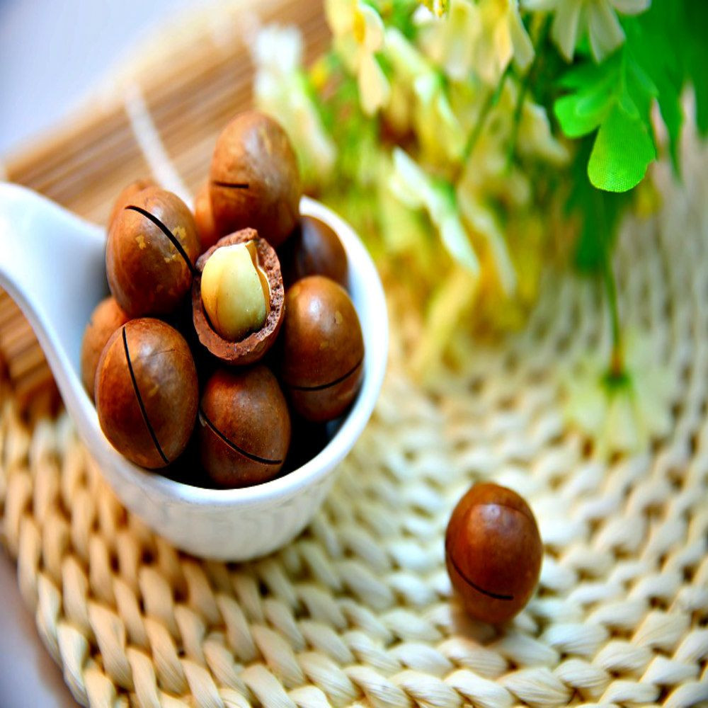 Raw organic macadamia nuts for sale