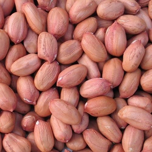 Raw Peanut Raw Groundnuts Peanut in Shell White and Red Peanut