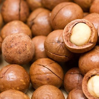 Raw organic chinese Macadamia nuts with shell and Without shell. / Macadamia Kernel