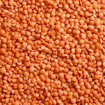 Quality Red Lentils/Green Lentils/ Yellow Lentils