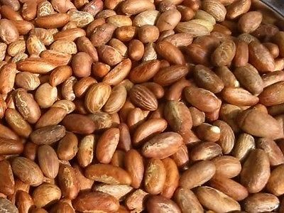 Kola nuts