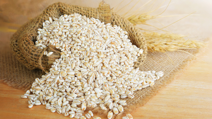 Premium Barley grain