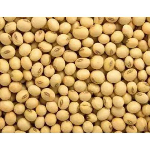 best choice soybeans