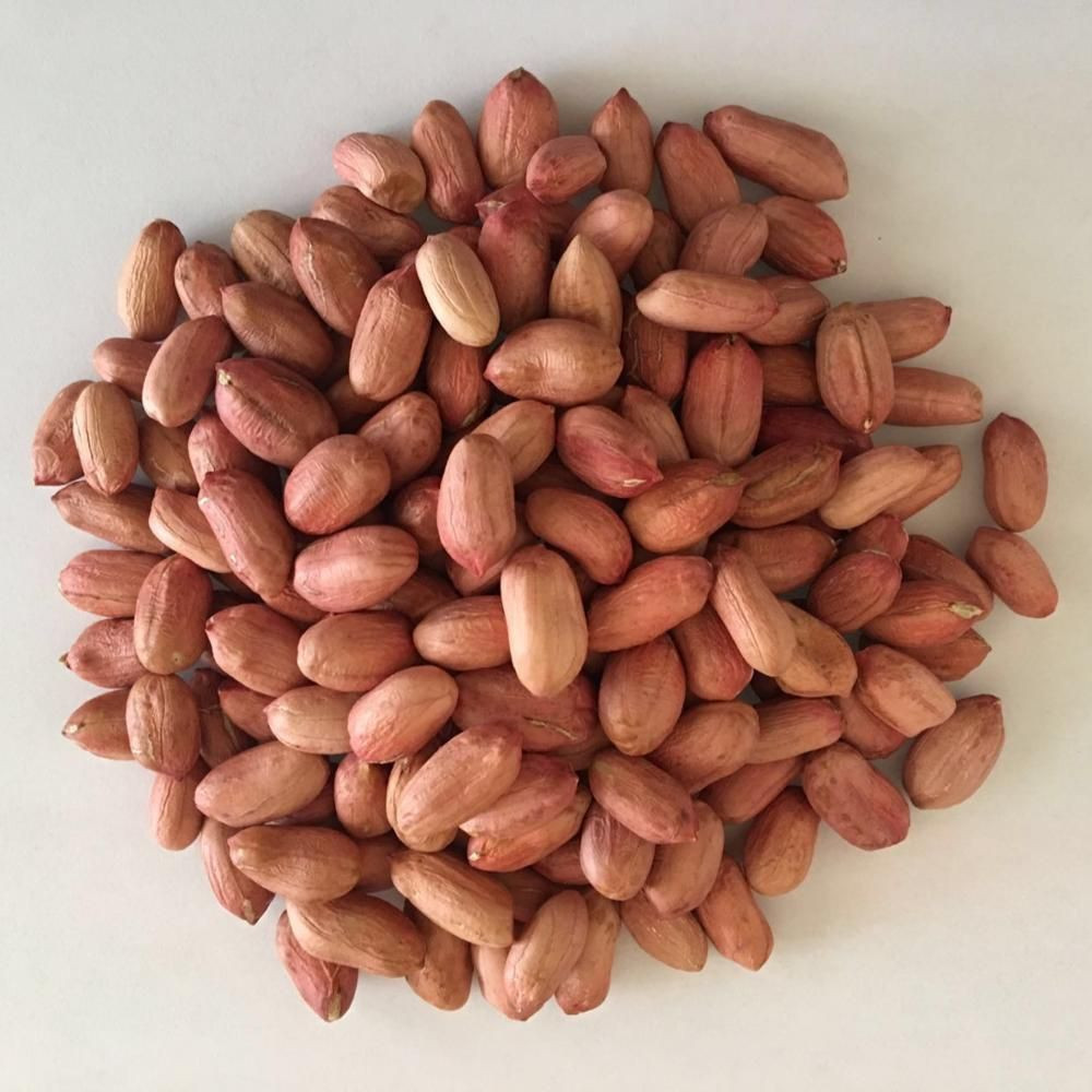 Good Quality Raw Peanuts, pea nut, Roasted, Raw Ground nuts