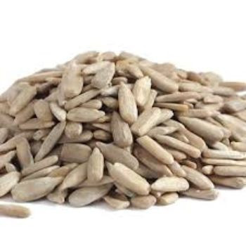 bakery sunflower seed kernels for extract oil