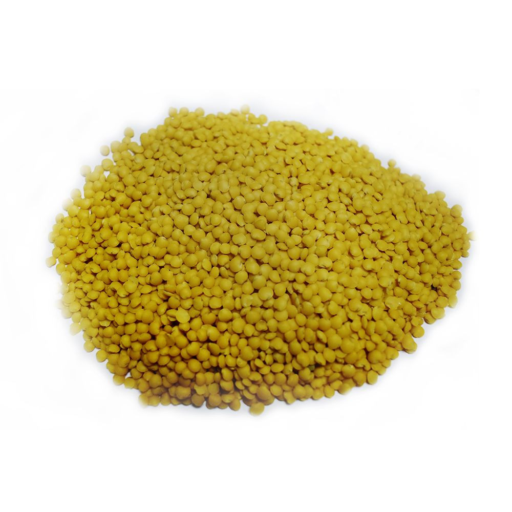 TOP QUALITY YELLOW LENTILS