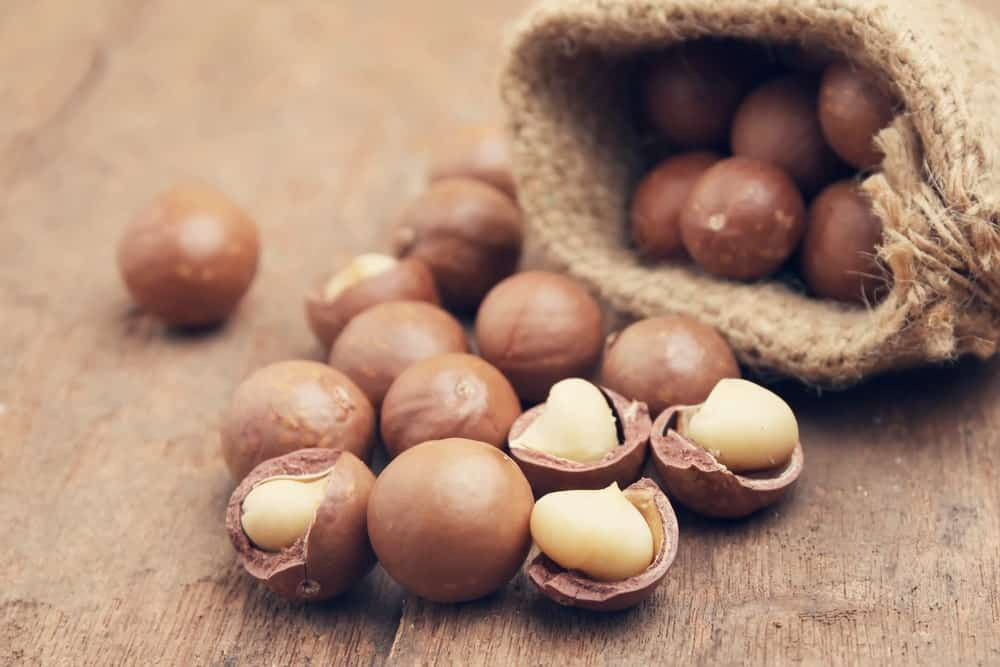 Macadamia Nuts with Best Quality