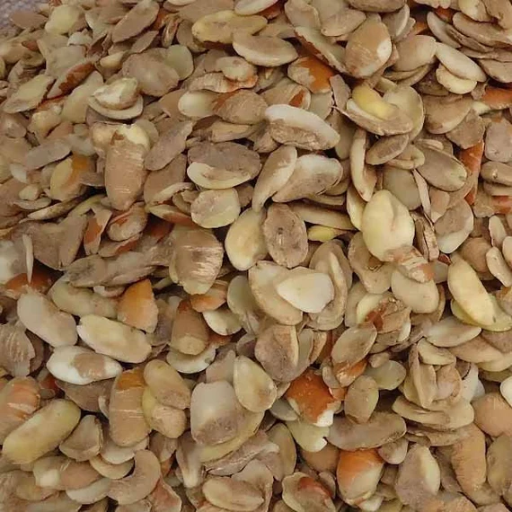 Prime Mango Seeds