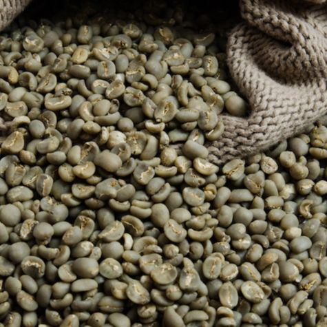 Ethiopian Arabica Coffee Beans/ green beans coffee