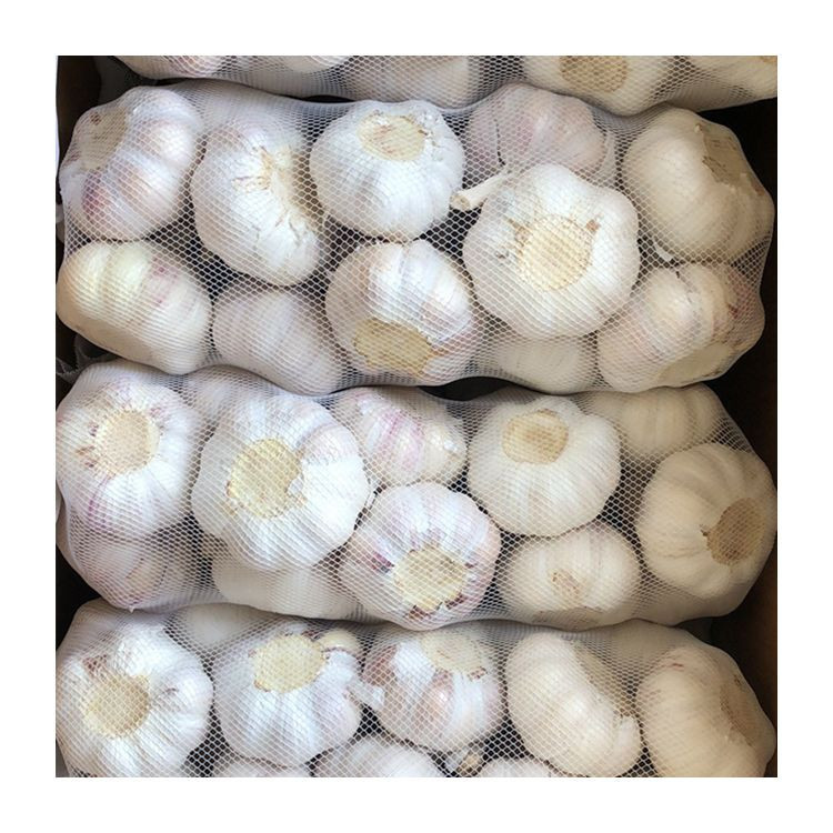 Best Grade White Garlic For Sale