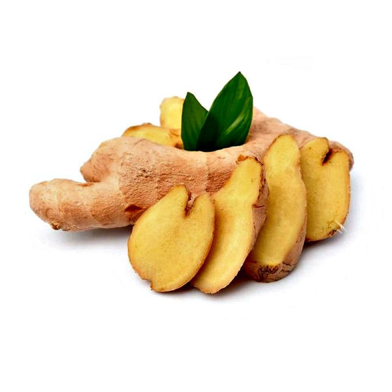 Fresh Ginger suppliers