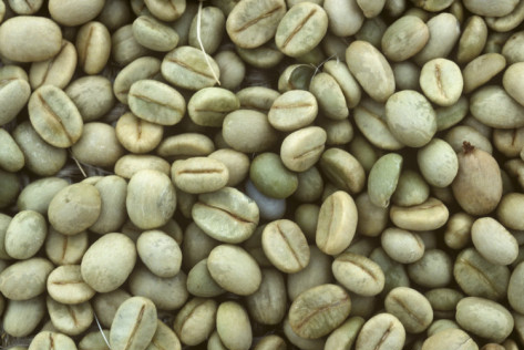 Premium Arabica green coffee beans