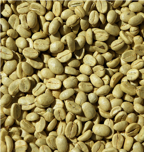 Estate-Grown Green Coffee Beans