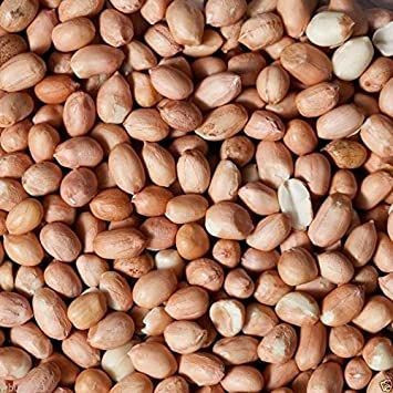 Best Grade PEANUT FOR SALE / Peanuts/Groundnut - JAVA 50-60 COUNT