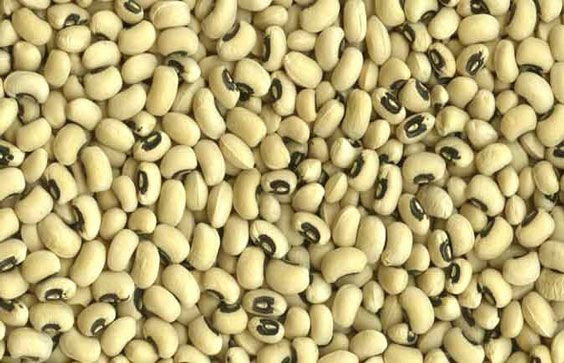 Bulk Natural Dried Cow Peas Kidney Beans