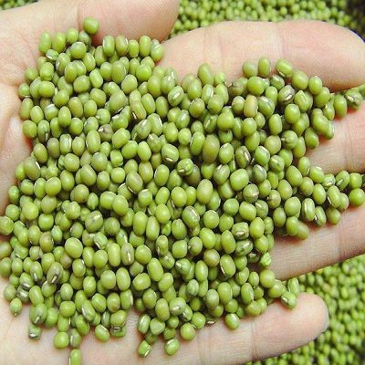 high grade green mung beans for sale