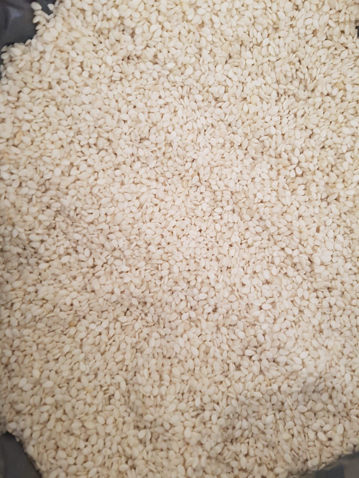 99.99 % Purity Natural White Sesame Seeds