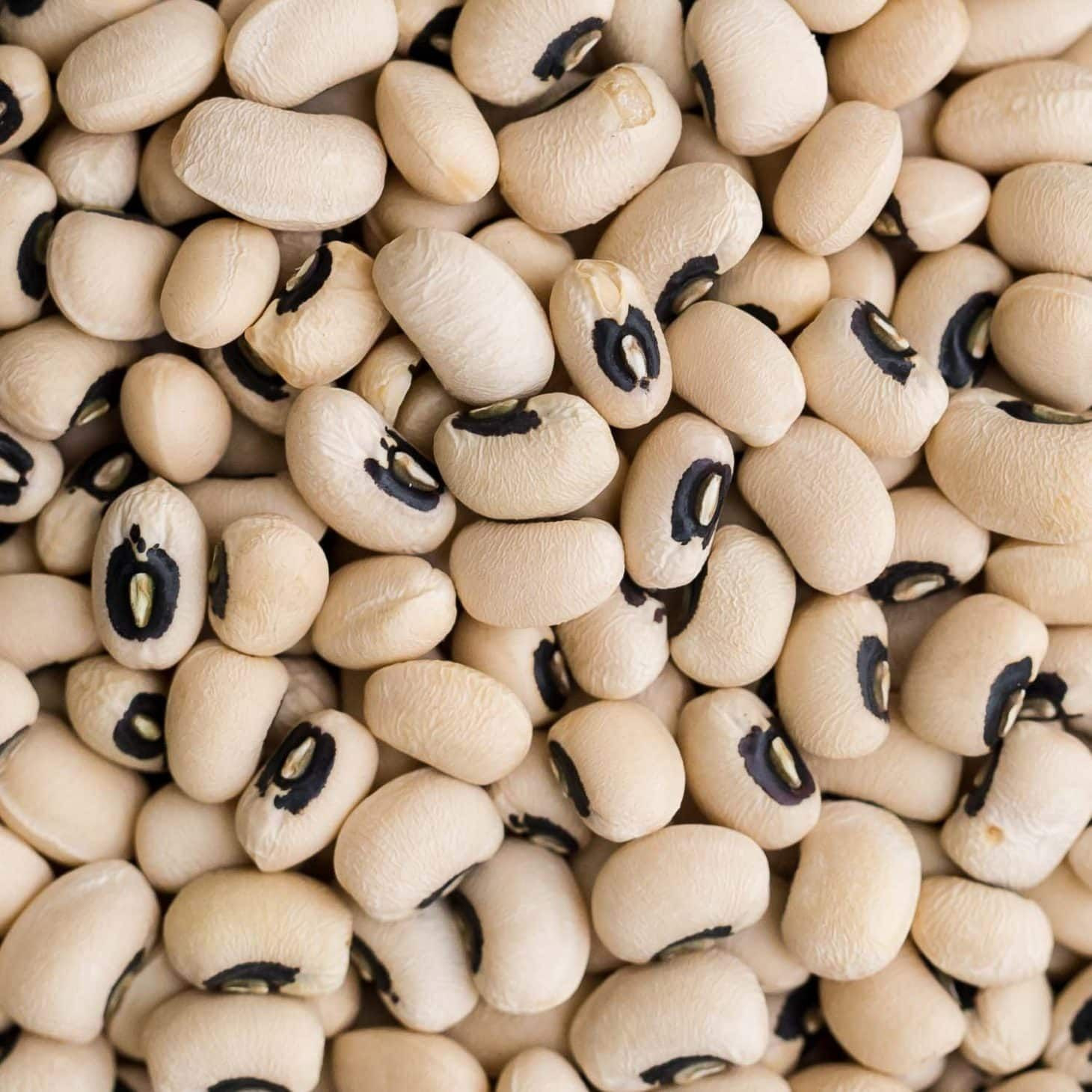 Black Eyed Beans/Black eyed peas - in stock and affordable. wholesale prices