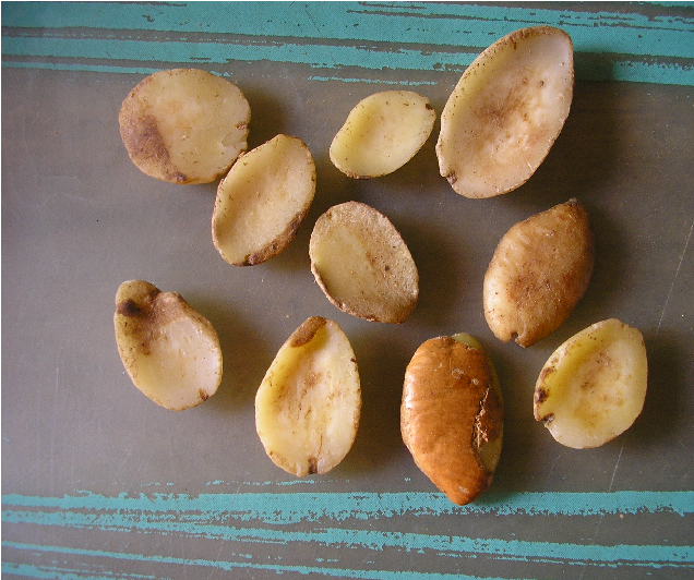 Superior Mango Seeds