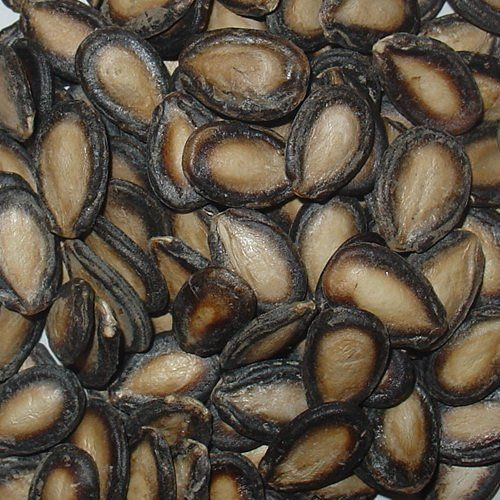 Dried Hulled Watermelon seeds for sale