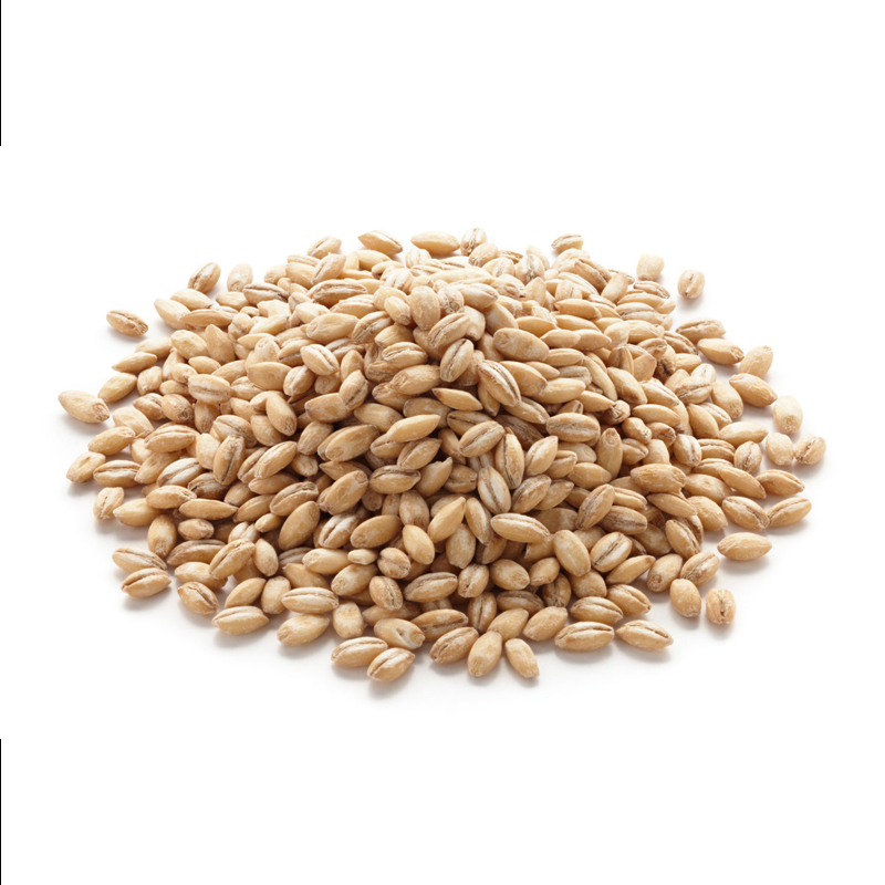 Barley For Malt