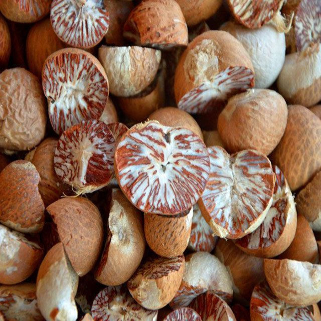 High Quality Dried Betel Nuts Dried Areca Nuts for Wholesales