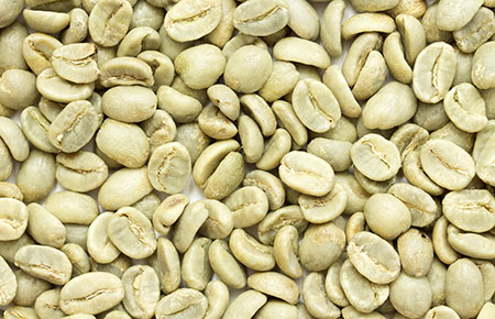 Light Green arabica robusta green coffee beans