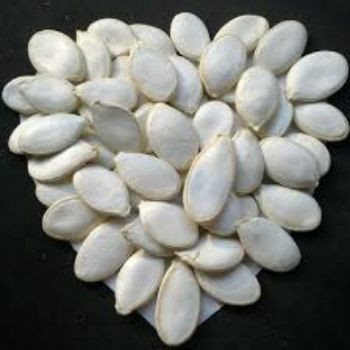 Fresh White Pumpkin Seeds