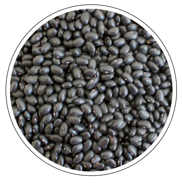 Hot sales Dried and Raw Dark Red Kidney Sugar Bean for sale