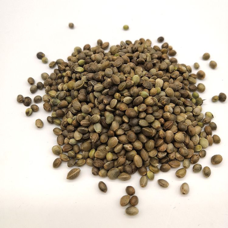Hulled Hemp Seed Min 55% Oil Content Pure Organic Hemp Seeds for Sale