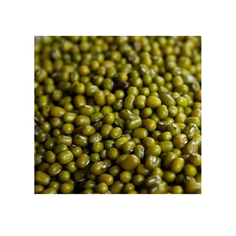 Agroculture Organic Green Beans Dried Mung Bean For Sprouting