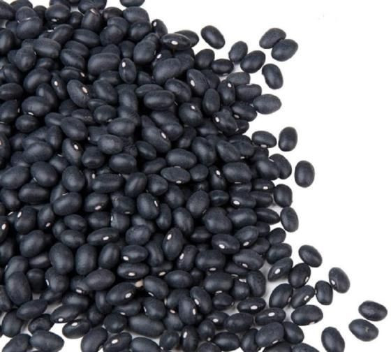 Black Kidney Beans - Export Quality and Best Price