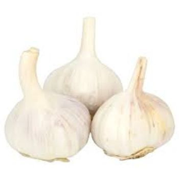 High Quality Fresh Normal White Gralic/ Purple Garlic and Red Garlic