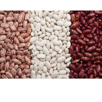 High Quality speckled light, Red Kidney Beans , Black Kidney Beans & White Kidney Beans.Pinto Beans