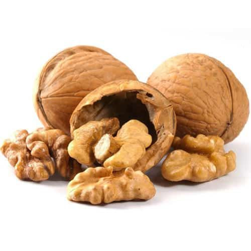 High Quality Walnut Kernel Wholesale /Best Grade Organic Raw Walnut/ High Grade organic Walnuts
