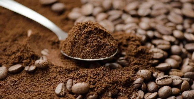 Micro-roasted coffee powder