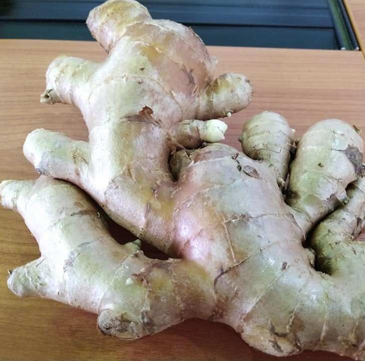 Fresh Ginger ready for export