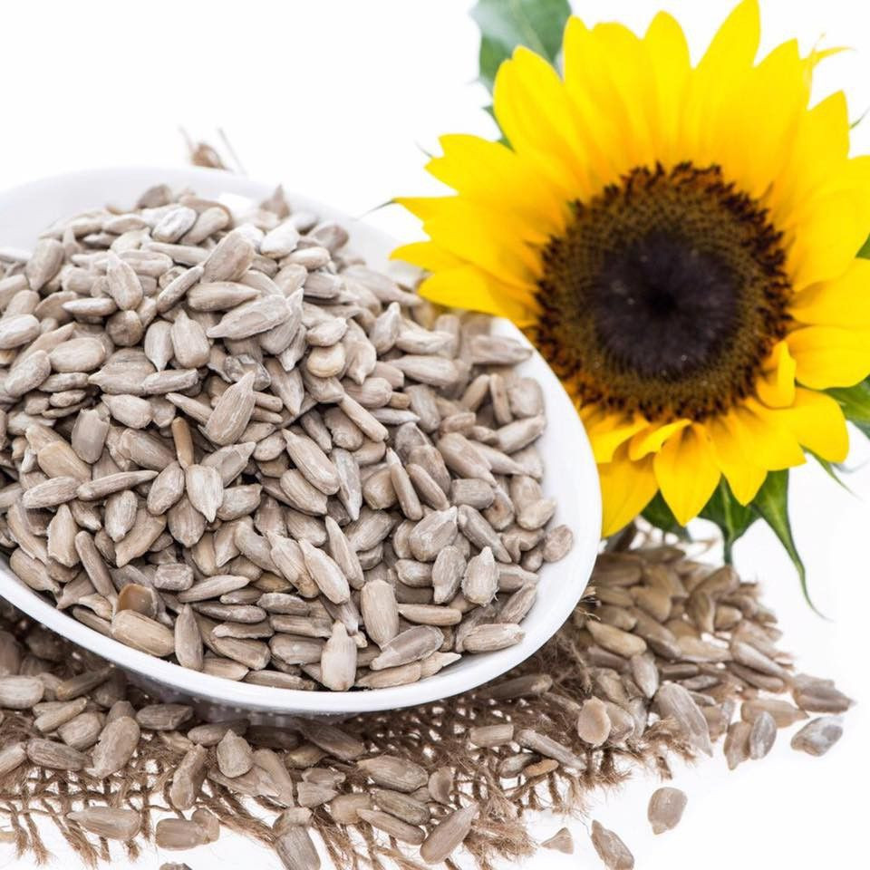 Sunflower seeds available and best price
