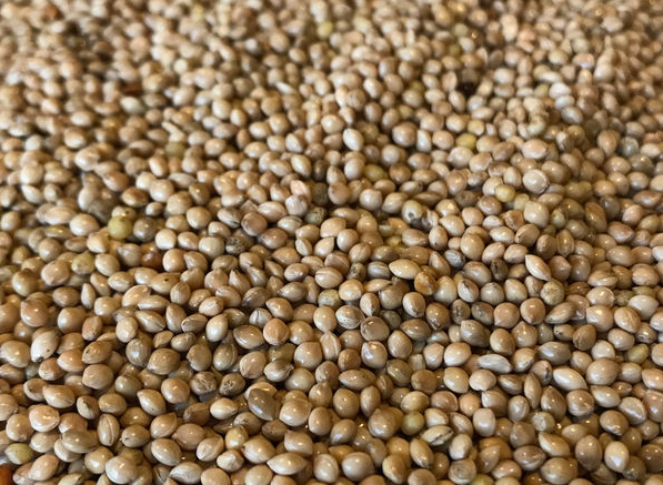 Natural brown millet