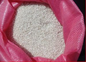 100% White Sago Seeds