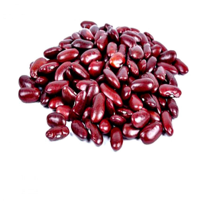 Wholesale Fresh Farm Red kidney beans