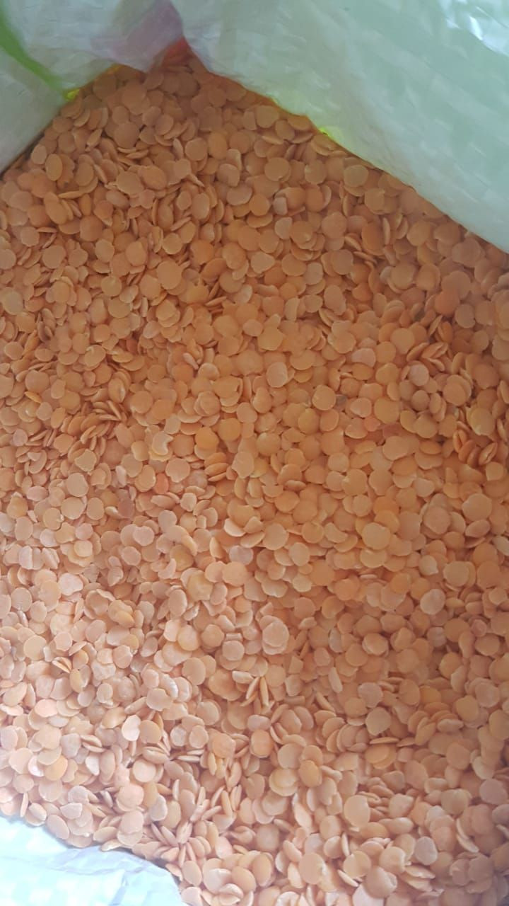 Quality Red Lentils