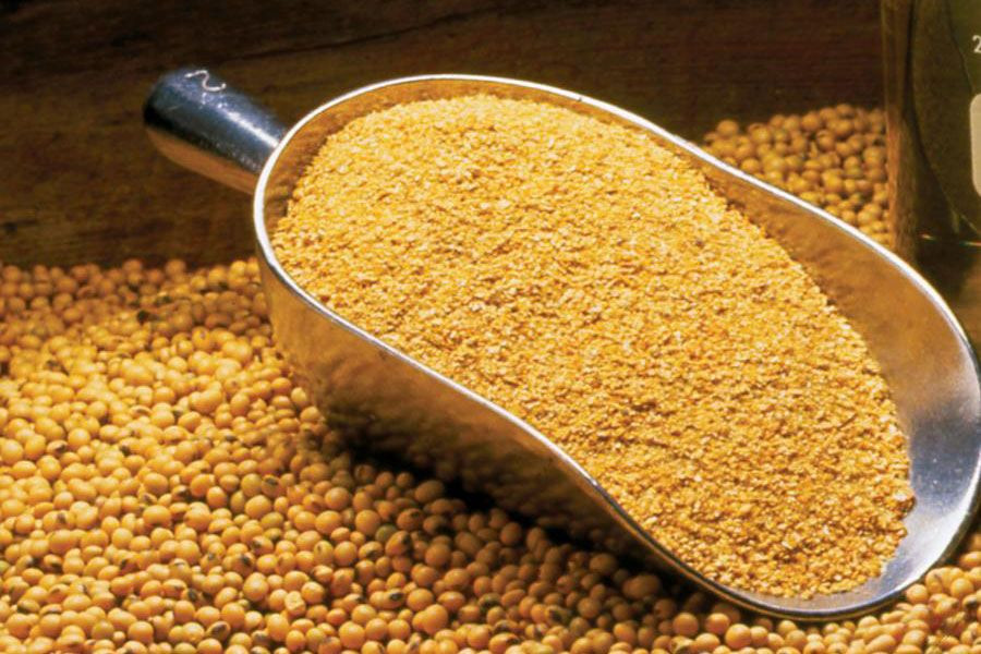 High Protein Quality Soybean Meal / Soya Bean Meal for Animal Feed