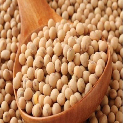 Rich in high quality protein and calcium Organic soy beans non-gmo yellow soybean